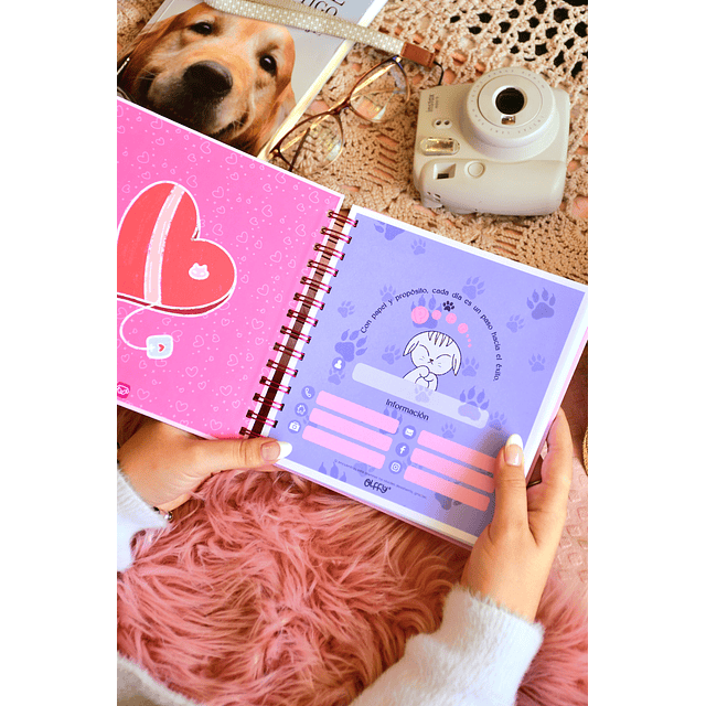 Cuaderno Gatitos Miau-ravillosos