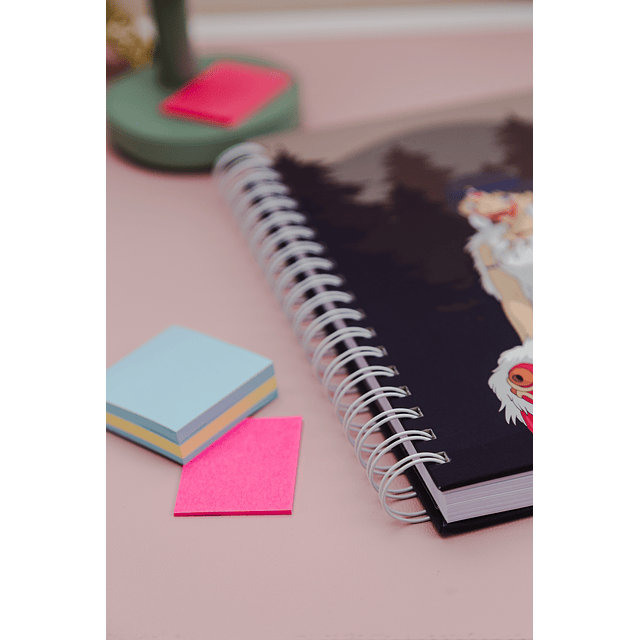 La Princesa Mononoke