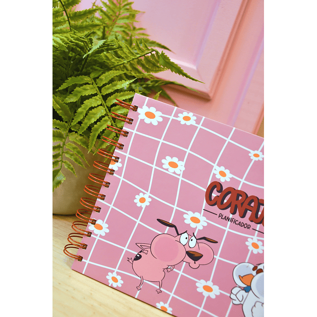 Planificador Semanal Coraje