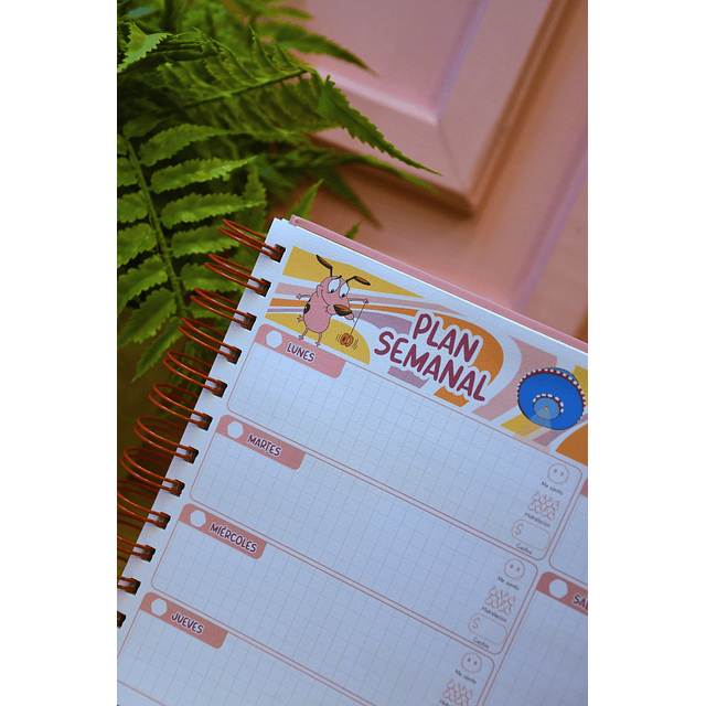 Planificador Semanal Coraje