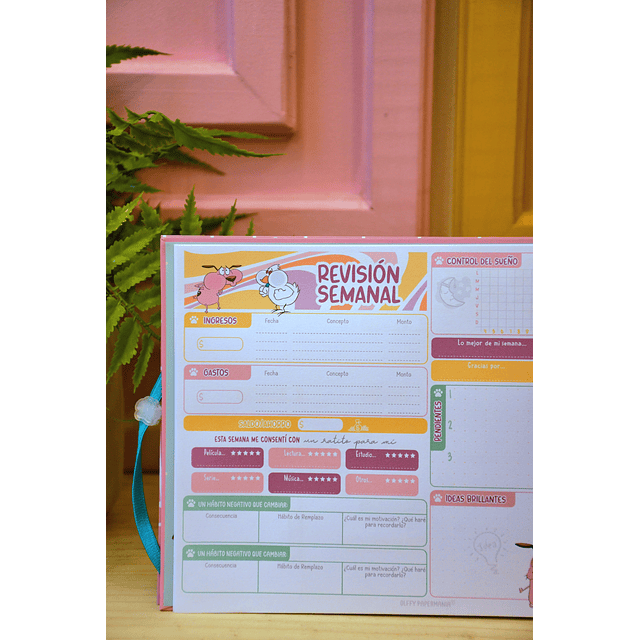 Planificador Semanal Coraje