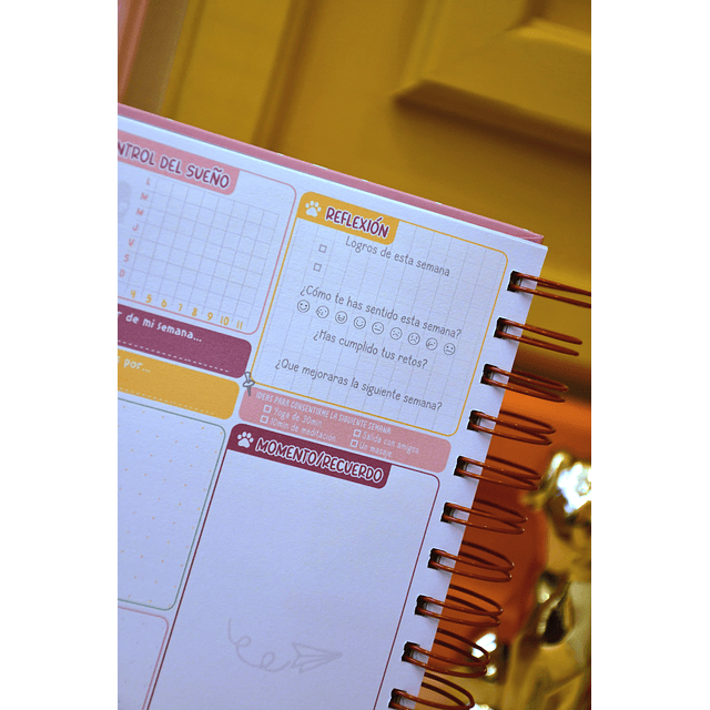 Planificador Semanal Coraje