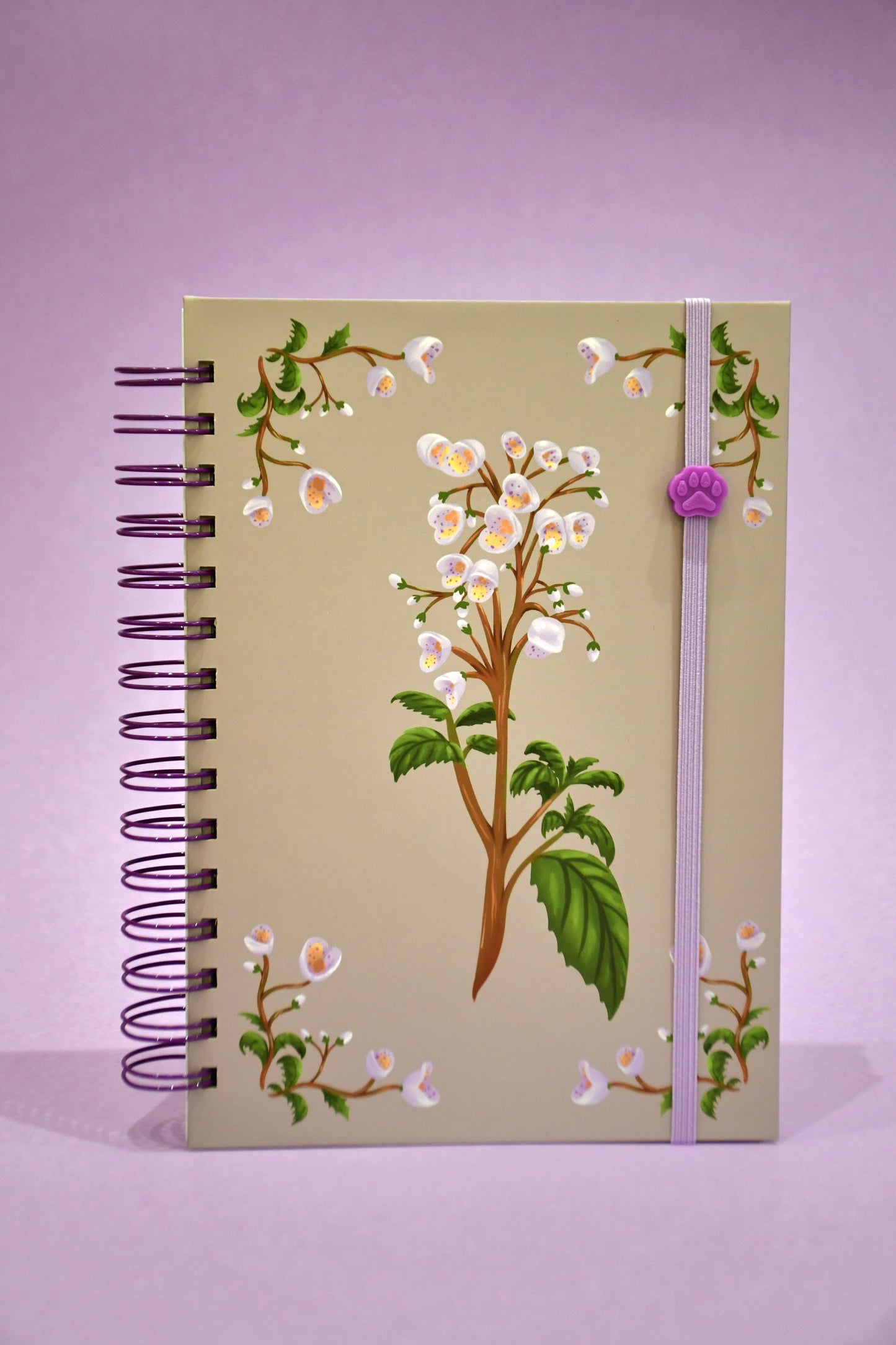 Cuaderno Capachito