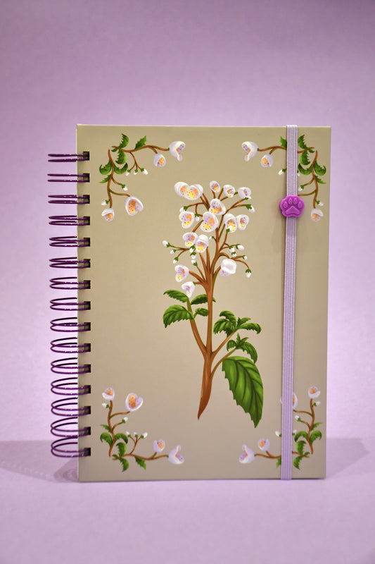 Cuaderno Capachito