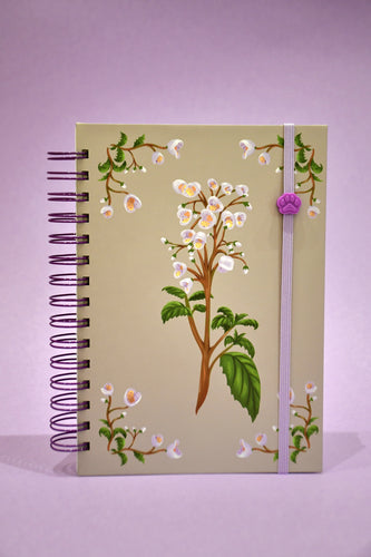 Cuaderno Capachito