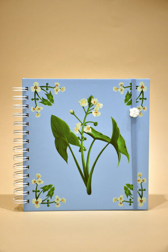 Cuaderno plan mensual - Flecha de agua