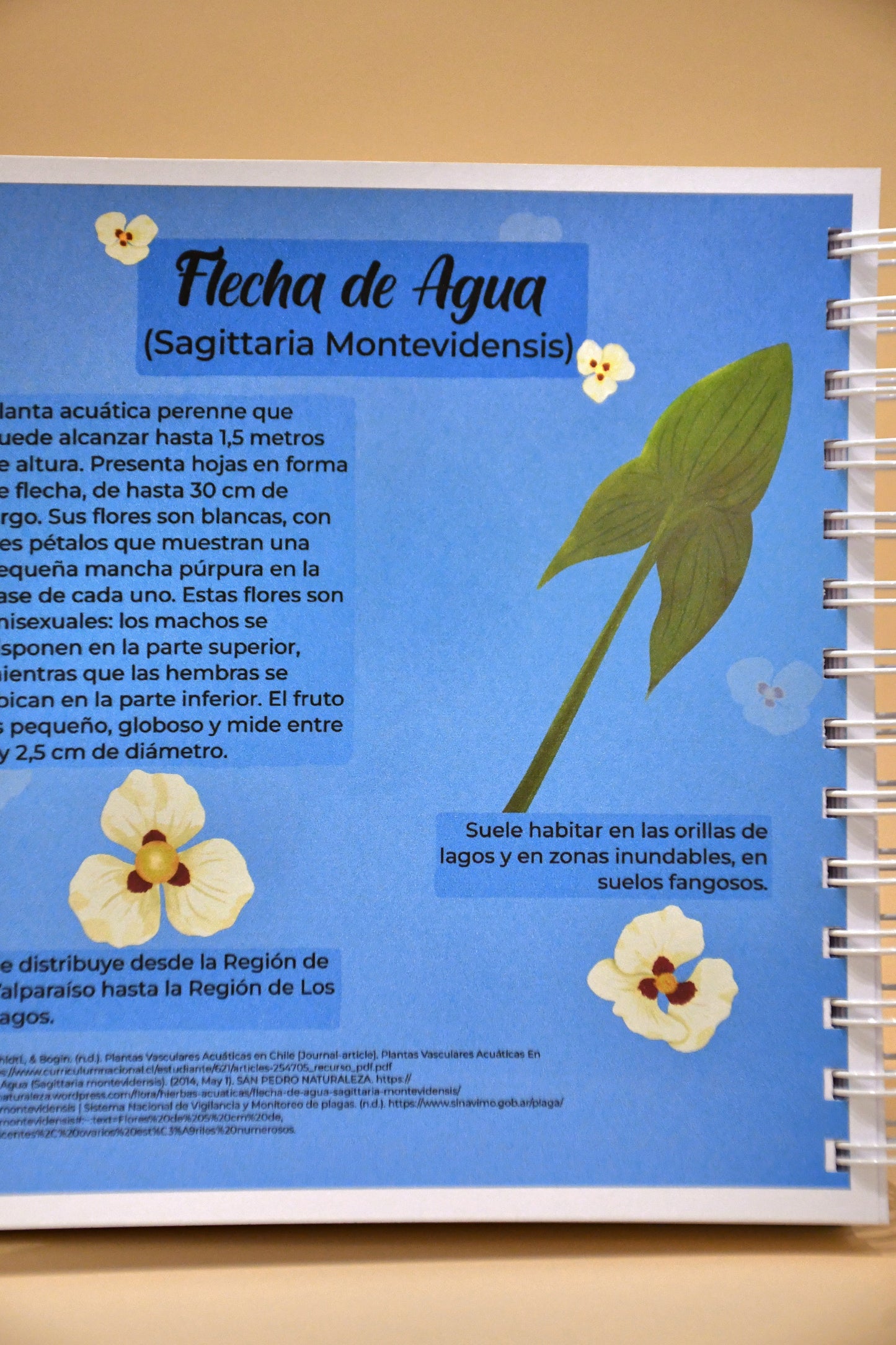 Cuaderno plan mensual - Flecha de agua