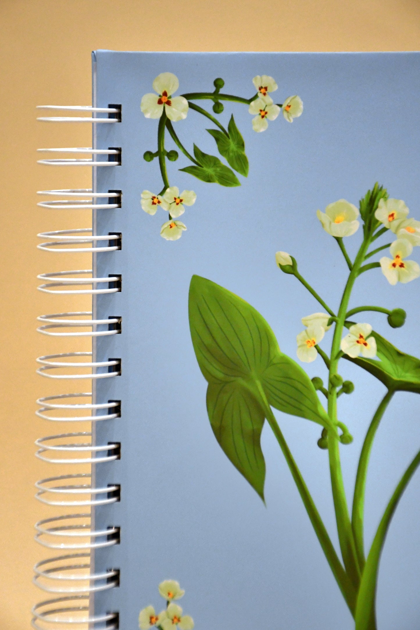 Cuaderno Flecha de agua