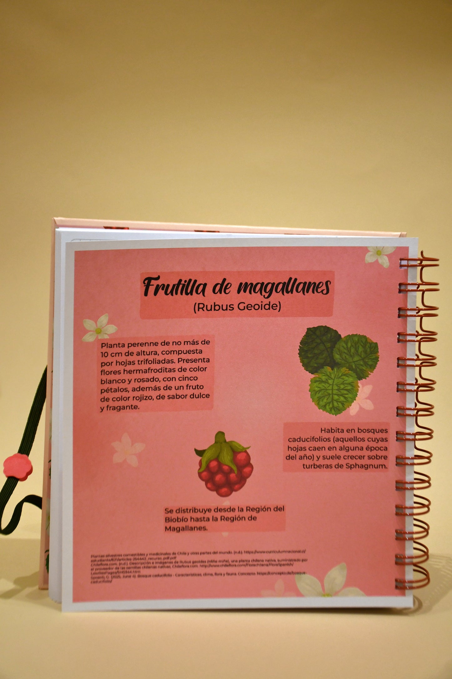 Cuaderno plan mensual- Frutillita magallánica