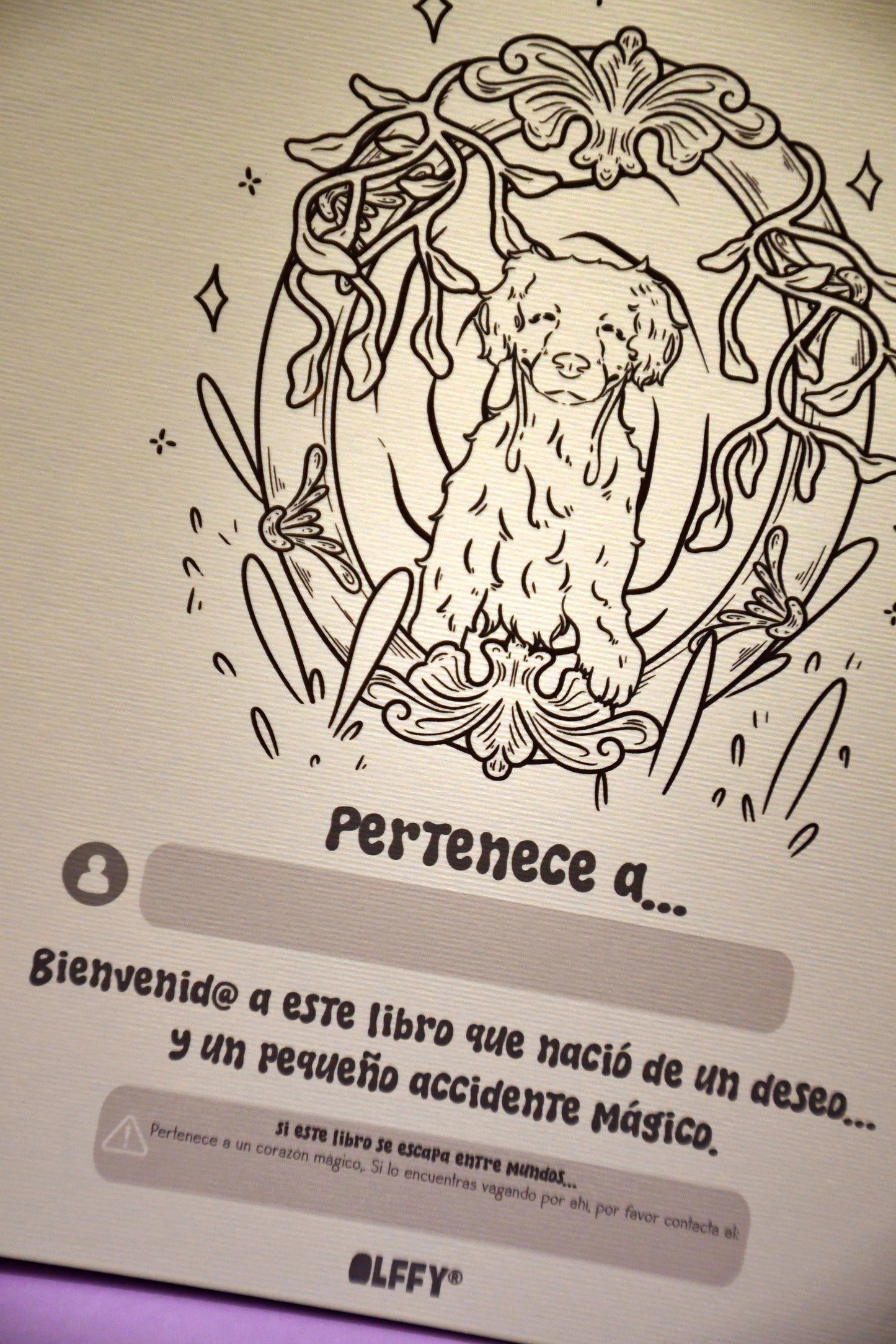 Libro de Colorear Oliver y Luffy