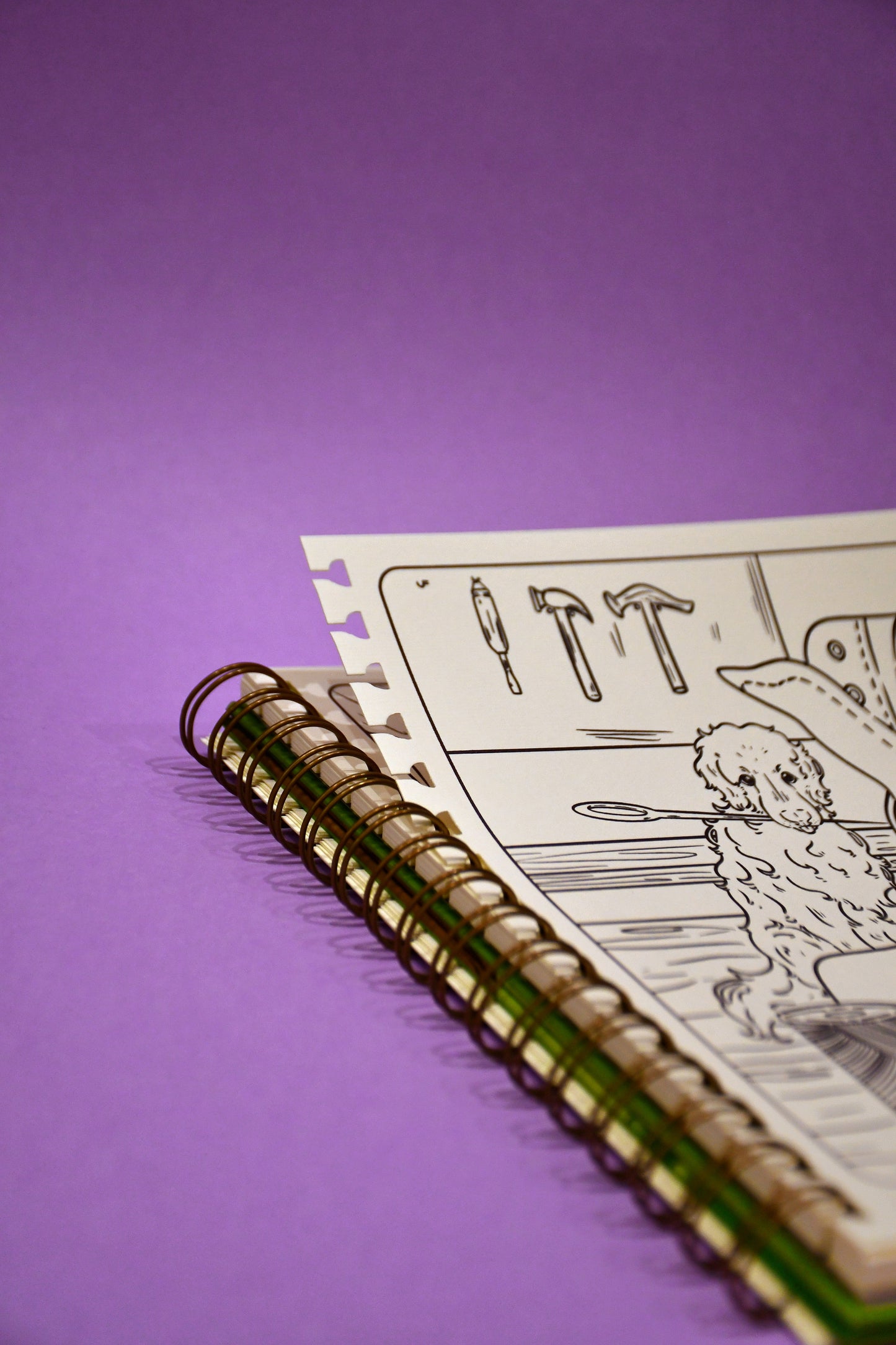 Libro de Colorear Oliver y Luffy