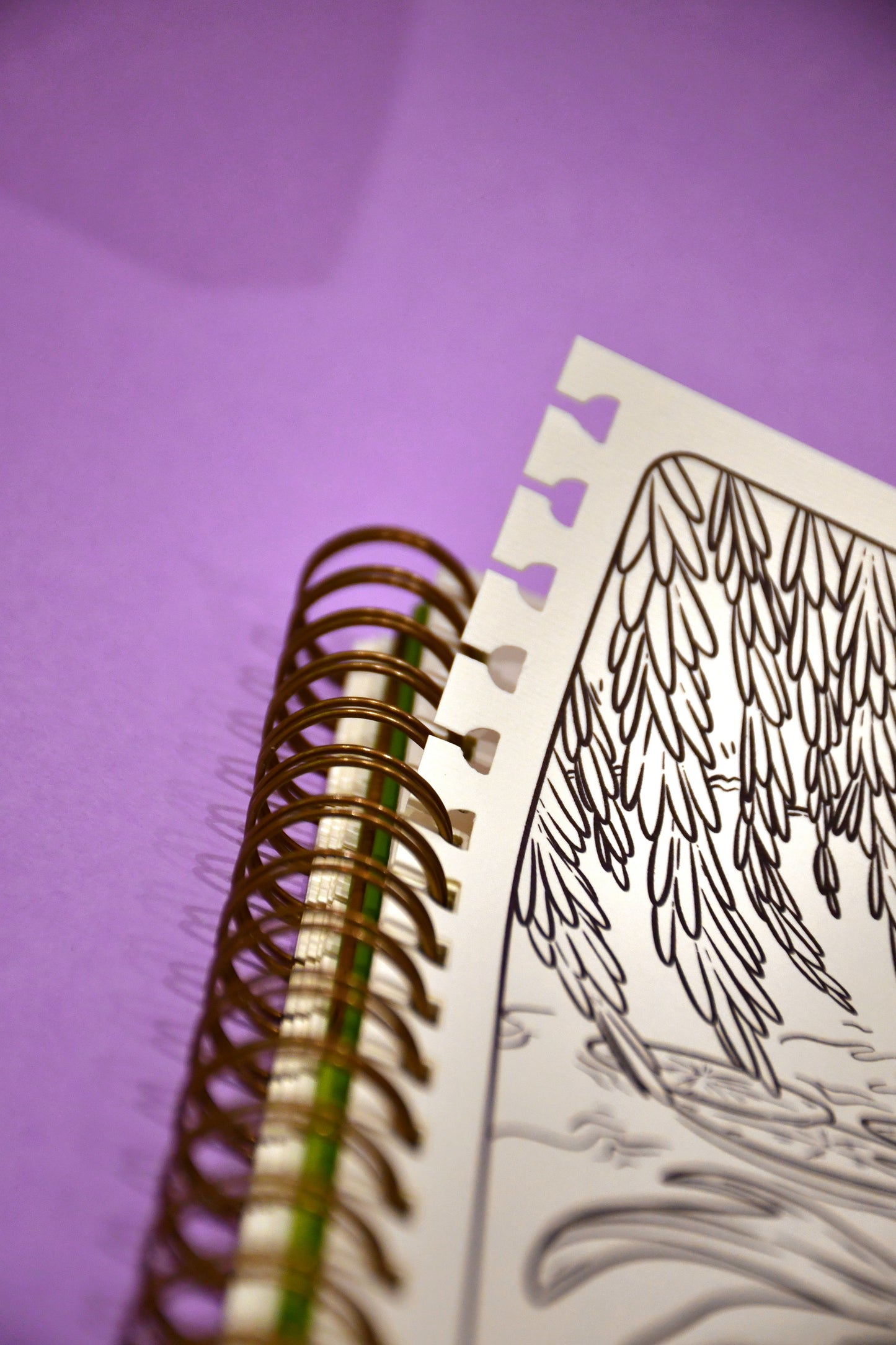 Libro de Colorear Oliver y Luffy