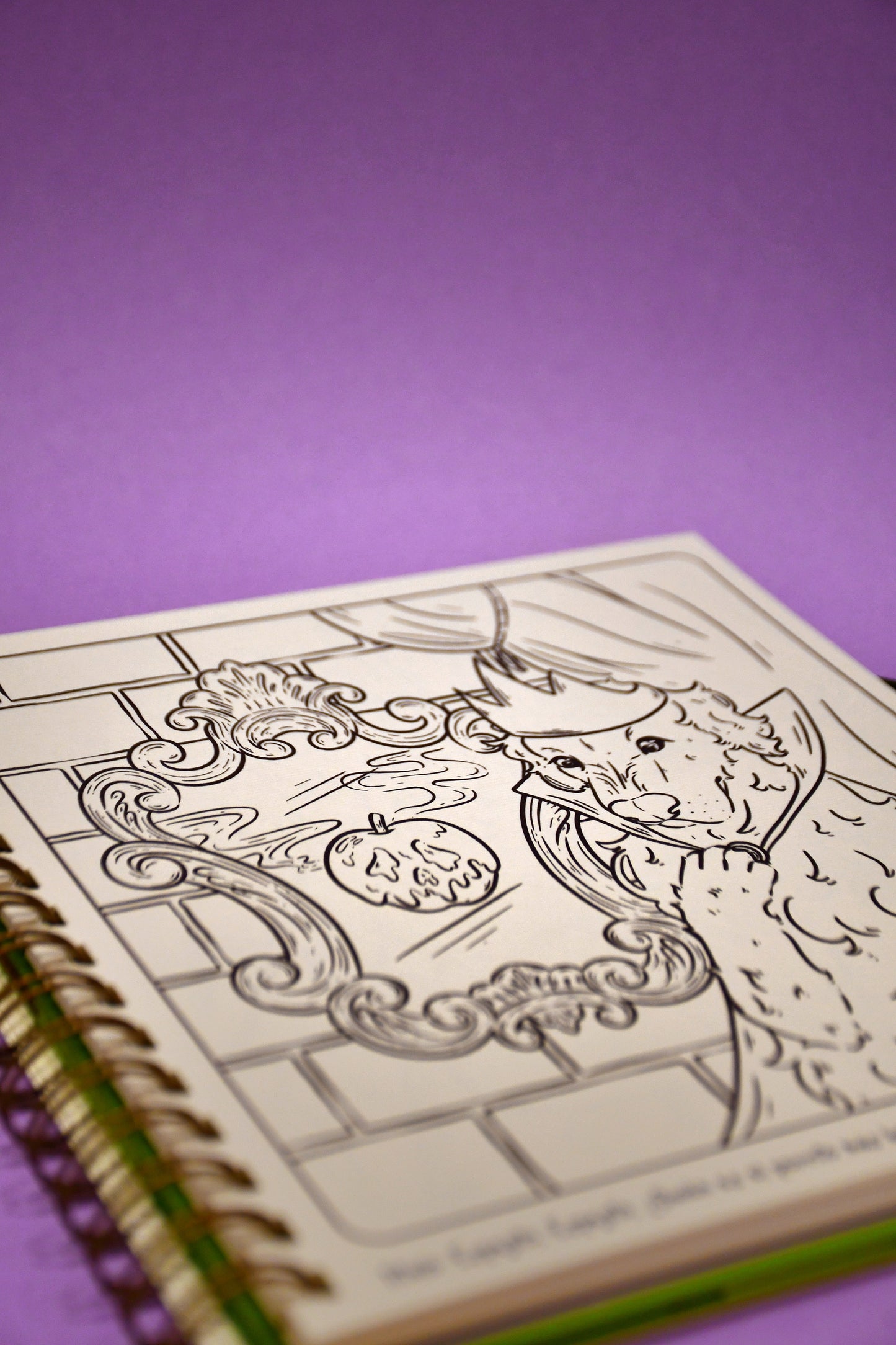 Libro de Colorear Oliver y Luffy